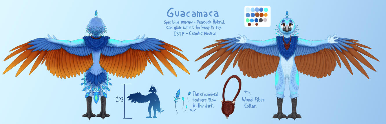 two views (complex) 75 USD